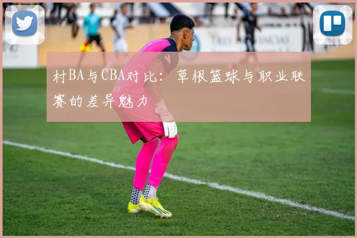 村BA与CBA对比:草根篮球与职业联赛的差异魅力